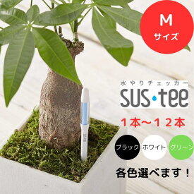 送料無料 サスティー SUStee 水やりチェッカー M ホワイト 白 グリーン 緑 ブラック 黒 水やり 観葉植物 管理 簡単 適切なタイミング 適切 タイミング 枯らさない 正しい水やり 色で分かる 土 ハイドロカルチャー 3.5号 4号 5号 6号 鉢 直径10.5~18cm SUSTEE 日用品付き