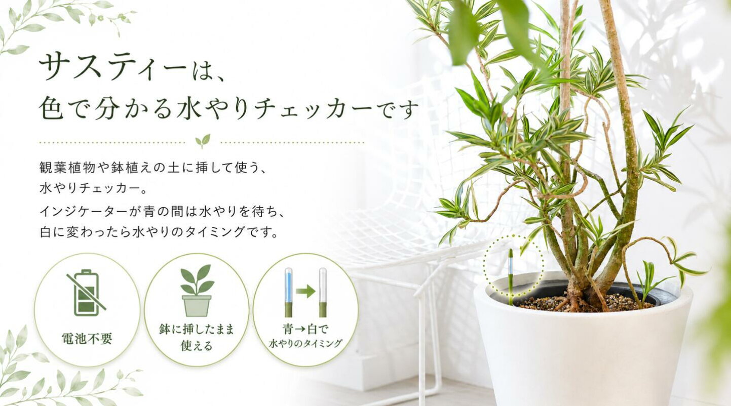 観葉 植物 水 やり チェッカー