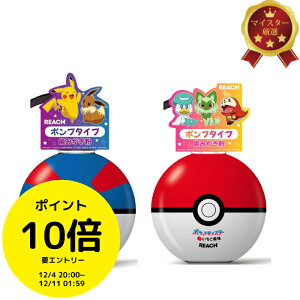 (X[p[SALE܂ȂII20OFF|Cgő16{W`XI)[`LbY|v݂Ԃǂ 250g Zbgi |P X^[{[ |PbgX^[qp