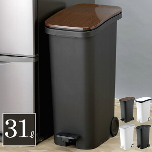 S~ { y_t LX^[t 31L X[X y__Xg{bNX 31 ( V { )