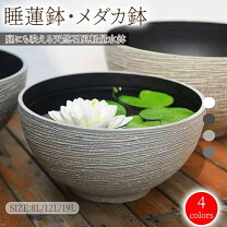 楽天市場】大型 水槽（植木鉢・プランター｜ガーデニング・農業）：花 