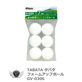 TABATA タバタ フォームアップボール GV-0306【飛距離】【室内】