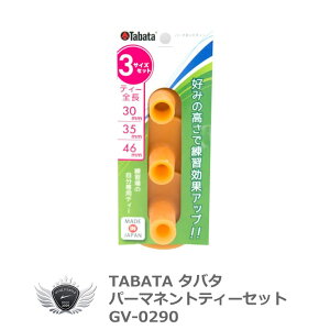 Kpi St  bX ^o^ p[}lgeBZbg GV-0290 yIRz