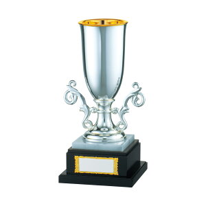 D  St Ry J V-Shika X^_[h WCJbv JC.1245-A A yIRz