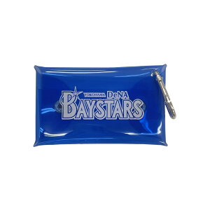 |[` ~jg[gobO EhobO v싅INPBIlDeNAxCX^[Y NAP[X YBAC-5734 yIRz