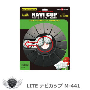 p^[ Kpi  St Cg irJbv M-441 yIRz