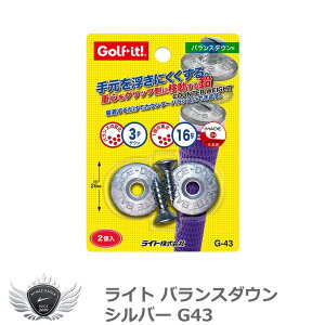 ゴルフ ウェイト アップ オモリ 鉛 ライト バランスダウン シルバー G43 【IR】