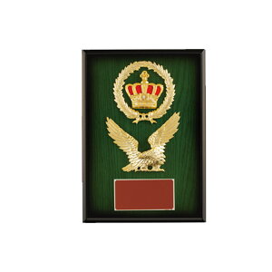 D  St Ry J V-Shika X^_[h| VS.5007-C yIRz