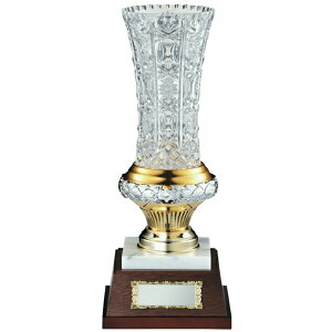 D  St Ry J fVXJbv VC1028 C yIRz