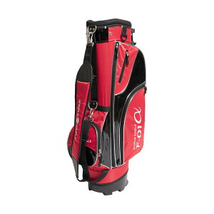 S[fStZ[@[hC[O y StobN F-01 X^hobO X^hɂ萫E֐ LfBobO J[gobO ˖؃vE IׂJ[