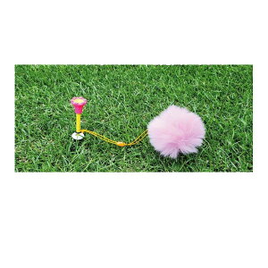 ObY eB[ Mtg Ry ܕi GW\St SteB[ p`[ yIRz