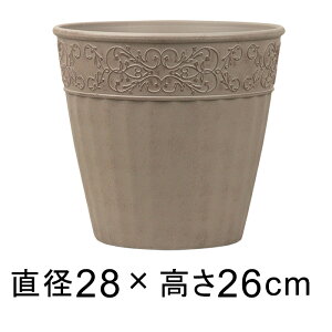  Aؔ Rb^ Eh |bg 28cm 8bg CguEn GKg y  v^[