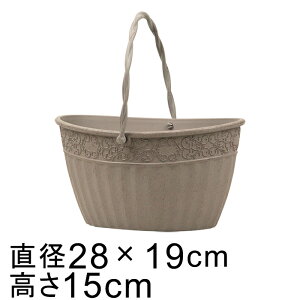  Aؔ Rb^ oXPbgt 28cm 4bg CguEn GKg y  v^[