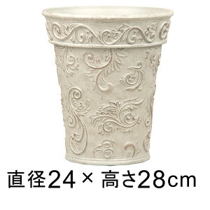  Aؔ {h AxXN g[ |bg 24.5cm 7bg zCgn GKg y  v^[