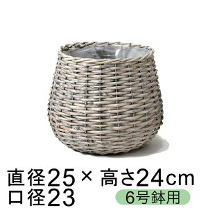 Jo[ Rf  O[ EHbV ۂ 6p a20cmȉ̔ɑΉ ̍