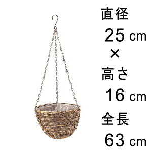  ݂ 25cm ݂蔫 nMO i` tbNt