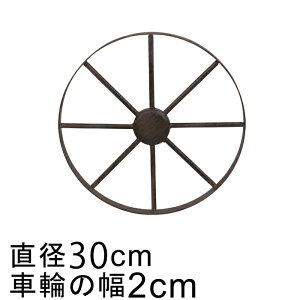 ACA ԗ zC[ IuWF 30cm  K[f I[ig S u