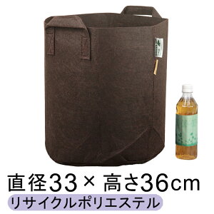 hXAbvobO 20cm`33cm Aؔ Jo[ z   sDz n TCN|GXe