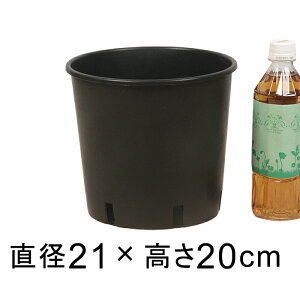 yyVLO܁z i[Z[|bg 21cm ubN 5bg Aؔ  y   BAMAPLAST tȍ