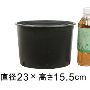 i[Z[|bg  23cm ubN 5bg Aؔ  y   BAMAPLAST tȍ