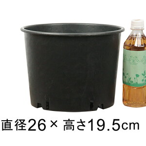 i[Z[|bg  26cm ubN 7bg Aؔ  y   BAMAPLAST tȍ