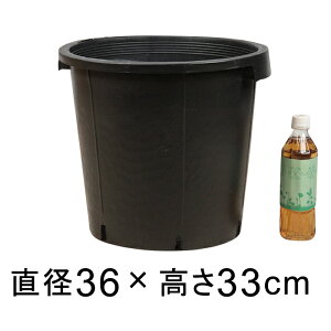 i[Z[|bg 36cm ubN 23bg Aؔ   y   tȍ