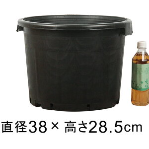 i[Z[|bg  38cm ubN 25bg  Aؔ  y   BAMAPLAST tȍ