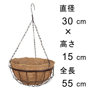 RRicv^[ ݂肩 30cm ݂蔫 nMO Rf