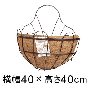 RRicv^[ Ǌ| 40cm nMO Rf tbNt