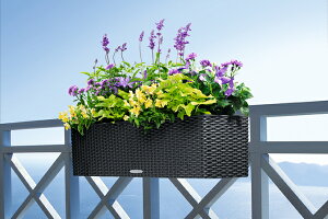 ` ^y[J[EsEsEԕiszoRl80 80cm ʟ󐅃Zbgy`[U v~AzyfUCv^[zAؔ 