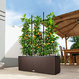 Aؔ `y[J[EsEsEԕiszRe[WEgI30 100cm ʟ󐅃Zbgy`[U GRm~[zyfUCv^[z ^ 