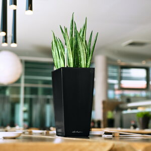 プランター レチューザ - DIY・工具の人気商品・通販・価格比較 - 価格.com