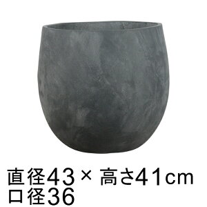 t@Co[Zg|bg Eh _[NO[n L 43cm 35bg