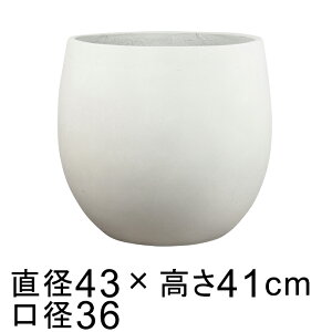 t@Co[Zg|bg Eh zCgn L 43cm 35bg