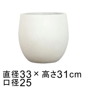 t@Co[Zg|bg Eh zCgn M 33cm 15bg