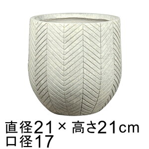 Aؔ  t@Co[|bg wO o[ S 21cm AeB[NzCg 6bg