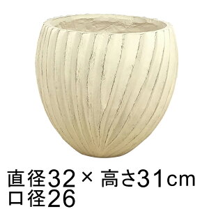 Aؔ  t@Co[|bg tH[Z{E MW 32cm Eh Jo[ 8Ή