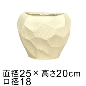 Aؔ  t@Co[|bg tAZbgT[N SW 25cm Eh Jo[