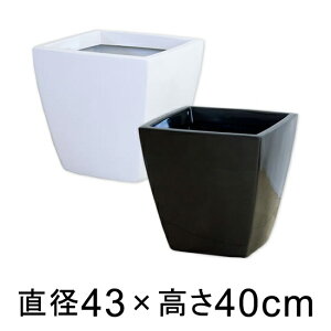 A[o|bg AS43^ L y[J[EjwsEsEsEԕiszyt@Co[OXz