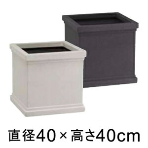 NE CS40^ y[J[EjwsEsEsEԕiszyt@Co[OXz