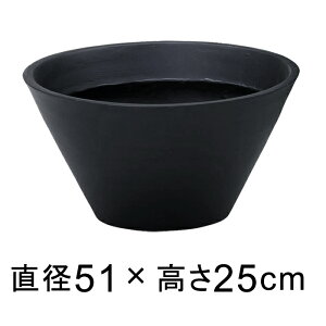 Vv|bg 50^ y[J[EjwsEsEsEԕiszyt@Co[OXz
