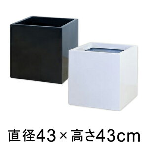 XNGA[|bg S43^ L y[J[EjwsEsEsEԕiszyt@Co[OXz