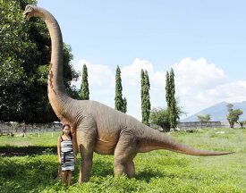 【メーカー直送・同梱不可・代引不可・返品不可】立ち向かうブラキオサウルス / Brachiosaurus