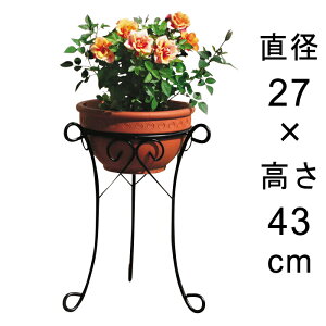 �A�C�A�� �t�����[�X�^���h ���a27cm ����43cm �kdys01-25�l���F�ʐ^�̔��A���͏��i�Ɋ܂݂܂���