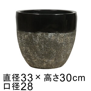 Aؔ  y t@Co[Xg[ |bg c[g ubNn 33cm 10bg