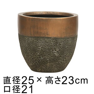 Aؔ  y t@Co[Xg[ |bg c[g uEn 25cm 6bg