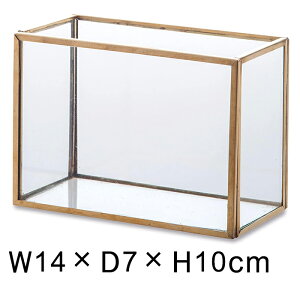花瓶 フラワーベース フレーム ソリッド ガラス 真鍮 しんちゅう 角型 22576 W14 D7 H10cm おしゃれ 小さい アンティーク シンプル 一輪挿し 花器
