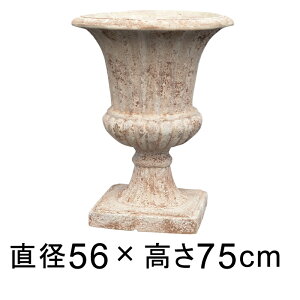 Aؔ  ^ IViGI 56cm y[J[EsEsEԕiszyO[|bgЁz lւ̔zs