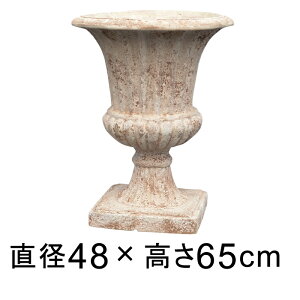 Aؔ  ^ IViGI 48cm y[J[EsEsEԕiszyO[|bgЁz