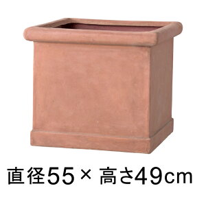 Aؔ  ^ CL^u|bg 55cm CguE y[J[EsEsEԕiszyO[|bgЁz
